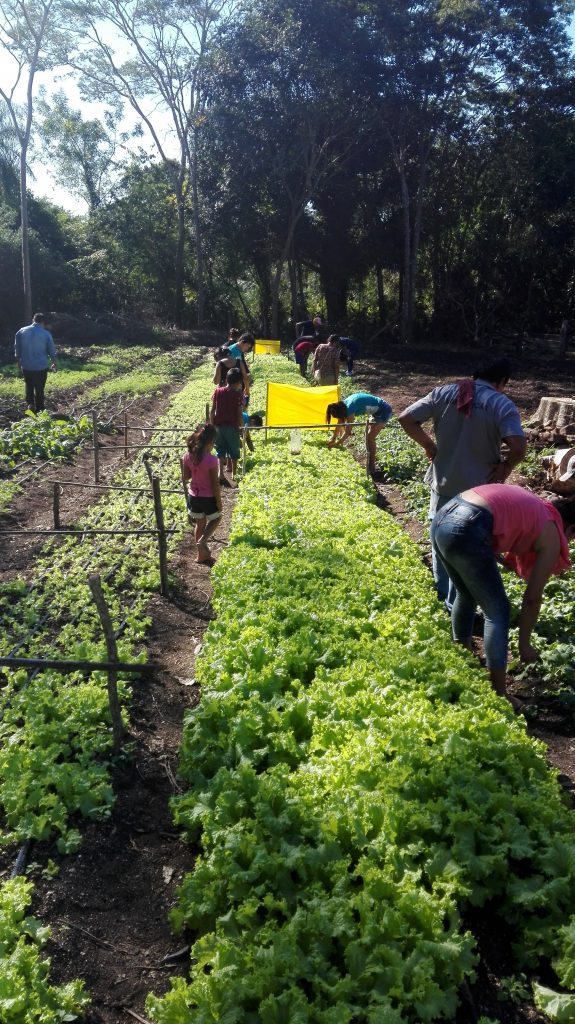 Proyecto de Riegos en la comunidad Motacusito - Bolivia