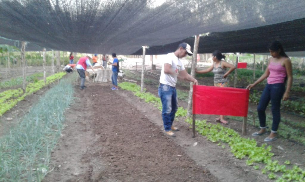 Proyecto de riegos en comunidad Motacusito, Santa Cruz - Bolivia